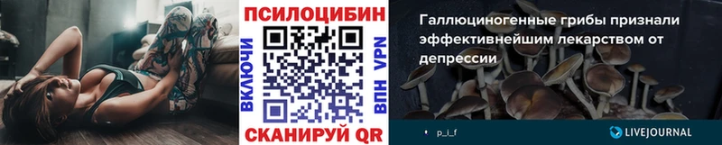 Галлюциногенные грибы Cubensis Жуков